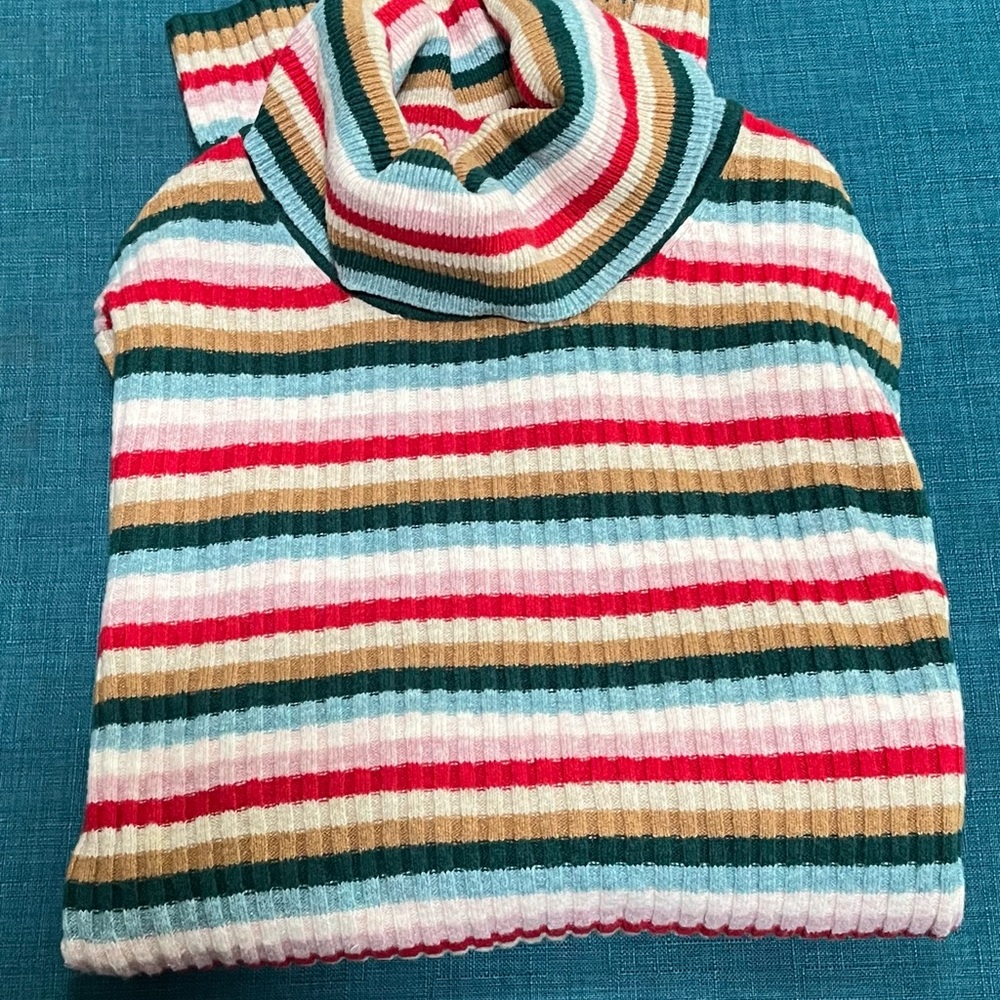 GAP Striped Turtleneck Sweater